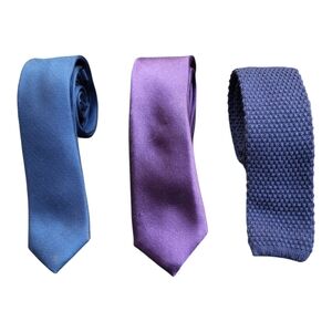 Set of 3 Classic Blue and Purple Slim Ties - Zara & J. Crew